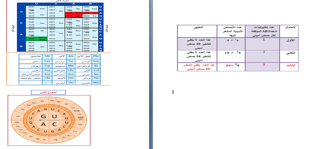 الملخص الترجمة